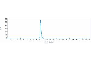 anti-KIR3DL2 (Lacutamab Biosimilar) antibody