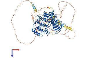 AlphaFold protein structure predicition of Mouse Recombinant Arhgap28 Protein, UniprotID Q8BN58