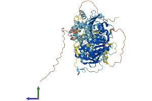 AlphaFold protein structure predicition of Human Recombinant ERCC3 Protein, UniprotID P19447