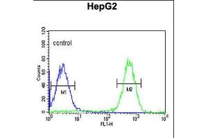 Flow cytometric analysis of HepG2 cells (right histogram) compared to a negative control cell (left histogram).