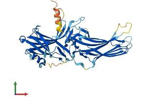 AlphaFold protein structure predicition of Human Recombinant ARR3 Protein, UniprotID P36575
