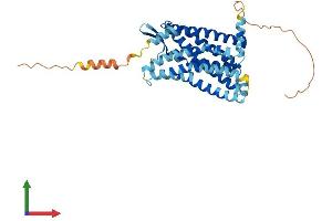AlphaFold protein structure predicition of Mouse Recombinant Ccr4 Protein, UniprotID P51680