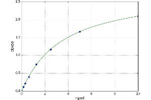 Aryl Hydrocarbon Receptor Nuclear Translocator 2 (ARNT2) ELISA Kit