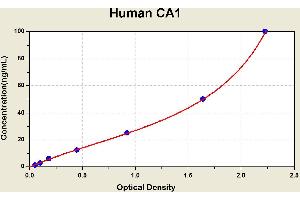Diagramm of the ELISA kit to detect Human CA1with the optical density on the x-axis and the concentration on the y-axis. (CA1 Kit ELISA)