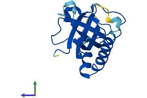 AlphaFold protein structure predicition of Human Recombinant RFK Protein, UniprotID Q969G6