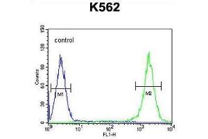 TFAM Antibody (C-term) flow cytometric analysis of K562 cells (right histogram) compared to a negative control cell (left histogram). (TFAM anticorps  (C-Term))
