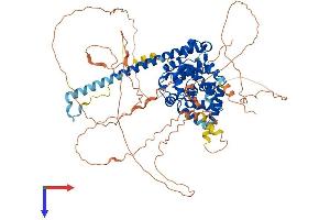 AlphaFold protein structure predicition of Human Recombinant TBC1D12 Protein, UniprotID O60347