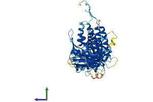 AlphaFold protein structure predicition of Mouse Recombinant Mkks Protein, UniprotID Q9JI70