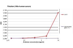 ELISA detection of IgG in human serum using HRP conjugated EM-07 antibody against IgG Fc fragment. (Souris anti-Humain IgG (Fc Region) Anticorps (HRP))