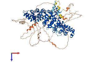 AlphaFold protein structure predicition of Mouse Recombinant Pkp3 Protein, UniprotID Q9QY23