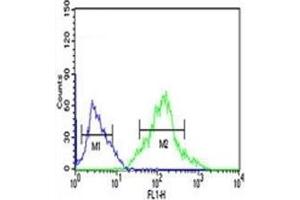 FOXP1 antibody flow cytometric analysis of Ramos cells (right histogram) compared to negative control cells (left histogram).