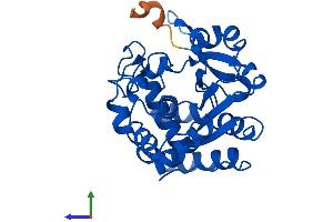 AlphaFold protein structure predicition of Mouse Recombinant Sult1c2 Protein, UniprotID Q9D939
