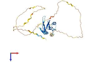 AlphaFold protein structure predicition of Mouse Recombinant Sh2d6 Protein, UniprotID Q9D413