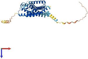 Lysophosphatidic Acid Receptor 4 (LPAR4) (AA 1-370) protein (His tag)