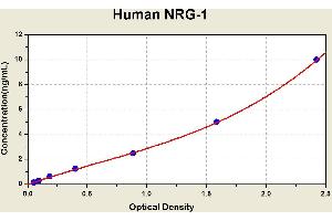 Diagramm of the ELISA kit to detect Human NRG-1with the optical density on the x-axis and the concentration on the y-axis. (Neuregulin 1 Kit ELISA)