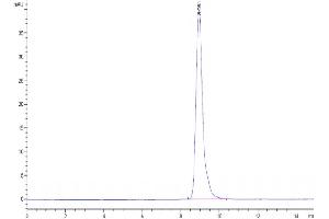 The purity of Cynomolgus MICA is greater than 95 % as determined by SEC-HPLC.