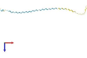 AlphaFold protein structure predicition of Mouse Recombinant Sprr2b Protein, UniprotID O70554