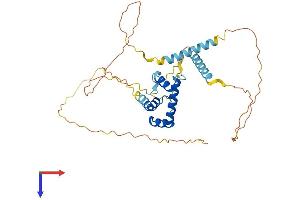 AlphaFold protein structure predicition of Mouse Recombinant Mkx Protein, UniprotID Q8BIA3
