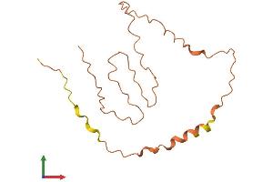 AlphaFold protein structure predicition of Human Recombinant FAM201A Protein, UniprotID Q5SY85