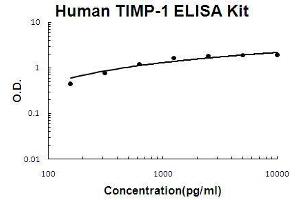 Human TIMP-1 PicoKine ELISA Kit standard curve