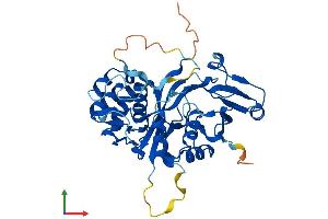 AlphaFold protein structure predicition of Human Recombinant NUDT19 Protein, UniprotID A8MXV4