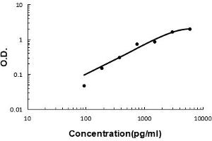 Sandwich ELISA - Recombinant human cxcl16 protein standard curve. (CXCL16 anticorps  (AA 30-196))