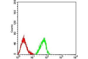 Flow cytometric analysis of HL-60 cells using CD18 mouse mAb (green) and negative control (red).