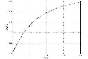A typical standard curve (BCL2L2 Kit ELISA)