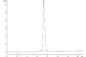 The purity of Biotinylated Human KIR2DL3 is greater than 95 % as determined by SEC-HPLC.