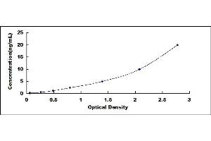 Typical standard curve (LRRC15 Kit ELISA)