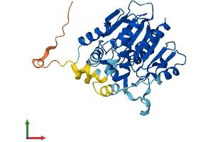 AlphaFold protein structure predicition of Human Recombinant ABHD4 Protein, UniprotID Q8TB40