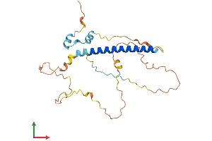 AlphaFold protein structure predicition of Human Recombinant LURAP1 Protein, UniprotID Q96LR2