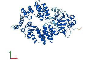 AlphaFold protein structure predicition of Human Recombinant RO60 Protein, UniprotID P10155