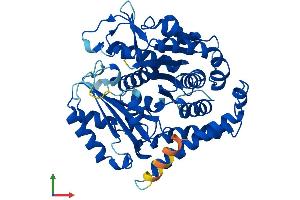 AlphaFold protein structure predicition of Human Recombinant TUBB6 Protein, UniprotID Q9BUF5
