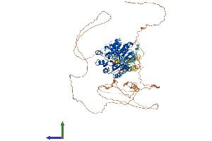 AlphaFold protein structure predicition of Human Recombinant DDX20 Protein, UniprotID Q9UHI6