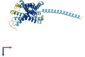 Lysophosphatidic Acid Receptor 6 (LPAR6) (AA 1-344) protein (His tag)