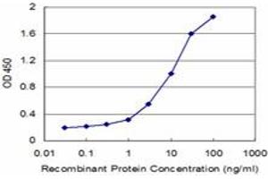 Detection limit for recombinant GST tagged SFN is approximately 0. (14-3-3 sigma/SFN anticorps  (AA 1-248))