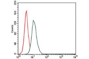 Flow Cytometry (FACS) image for anti-Hyaluronan Synthase 3 (HAS3) antibody (ABIN1845757) (HAS3 anticorps)