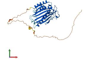 AlphaFold protein structure predicition of Human Recombinant PITPNC1 Protein, UniprotID Q9UKF7