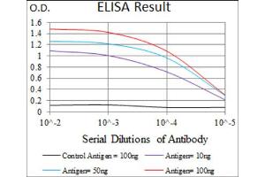 Red: Control Antigen (100ng) ; Purple: Antigen (10ng) ; Green: Antigen (50ng) ; Blue: Antigen (100ng). (EGFR Mutant (AA 693-893), (Mutant) anticorps)