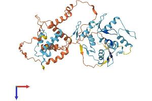 AlphaFold protein structure predicition of Human Recombinant ZNF302 Protein, UniprotID Q9NR11