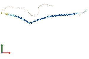AlphaFold protein structure predicition of Mouse Recombinant Arglu1 Protein, UniprotID Q3UL36
