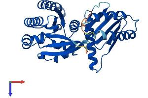 AlphaFold protein structure predicition of Mouse Recombinant Rraga Protein, UniprotID Q80X95