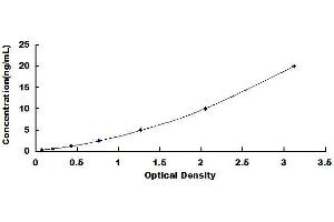 Typical standard curve