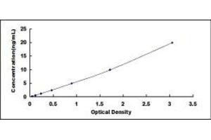 Typical standard curve (CPT1B Kit ELISA)