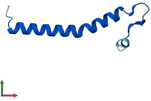 AlphaFold protein structure predicition of Human Recombinant TOMM7 Protein, UniprotID Q9P0U1