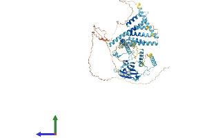 AlphaFold protein structure predicition of Human Recombinant CACTIN Protein, UniprotID Q8WUQ7