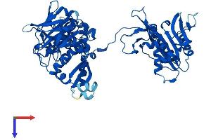 AlphaFold protein structure predicition of Mouse Recombinant Farsb Protein, UniprotID Q9WUA2