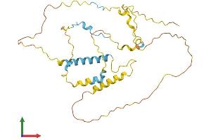 AlphaFold protein structure predicition of Mouse Recombinant P33monox Protein, UniprotID Q9DBN4