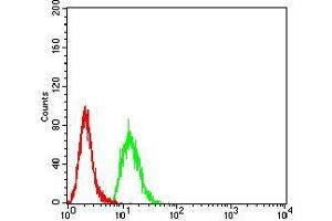 Flow cytometric analysis of Hela cells using KDM3A mouse mAb (green) and negative control (red).
